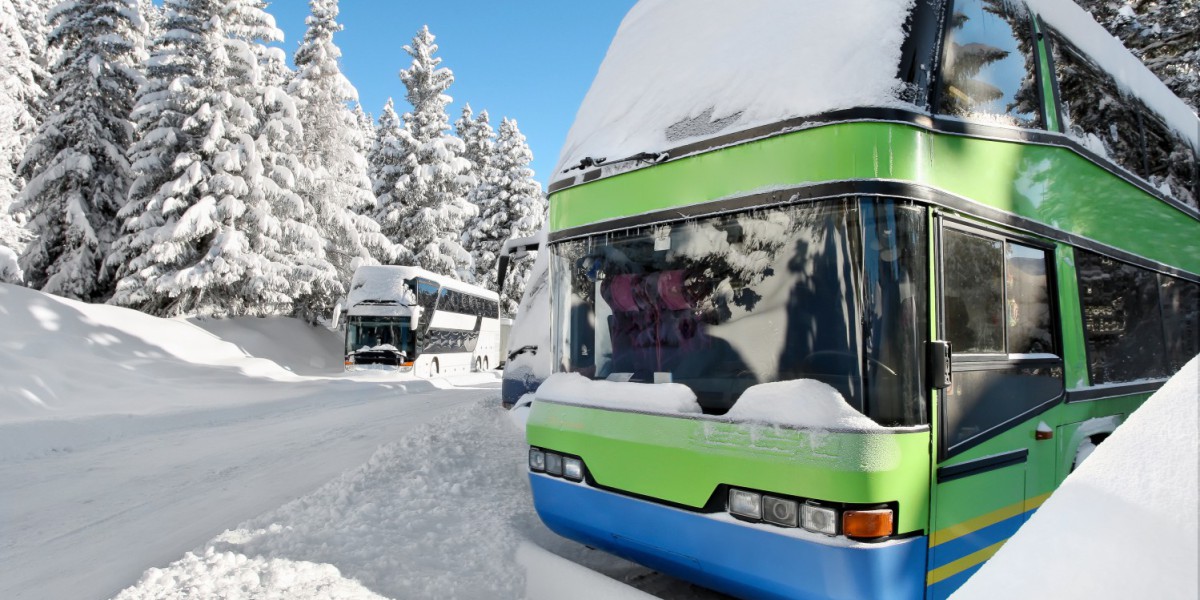 Bus ski